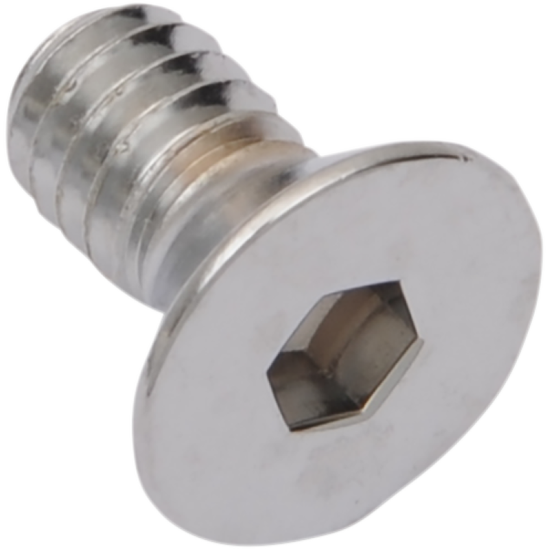 FLATHEAD SCREW 1/4-20X5/8" (10)