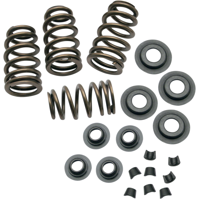 84-04 B/T .650" VALVE SPR KIT