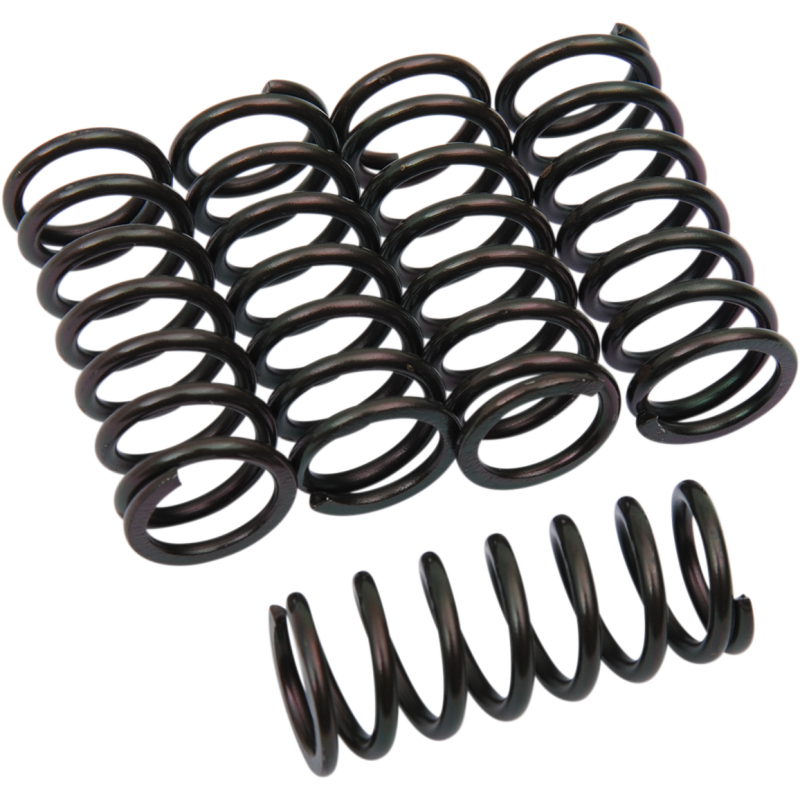 CLUTCH SPRING KIT MULTI APPLIC