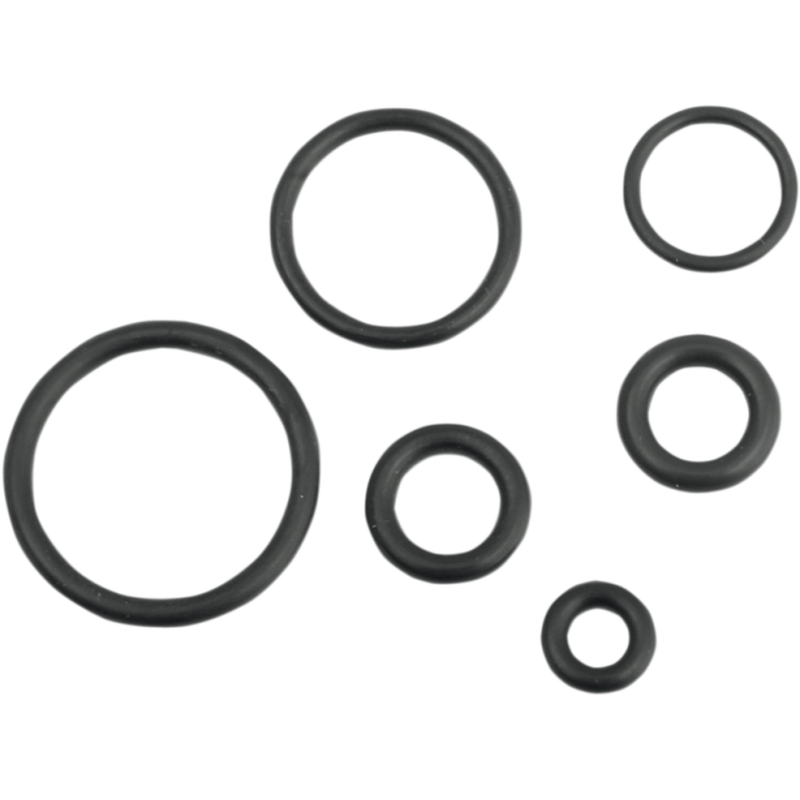 O-RING KIT EFI FUEL LINE