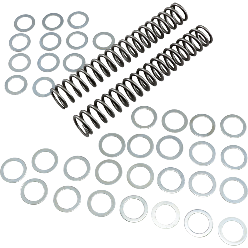 1.00 KG/MM FORK SPRING SET '04 YZFR1