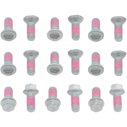 Suzuki RM125/250 Rotor Bolts (Kt)
