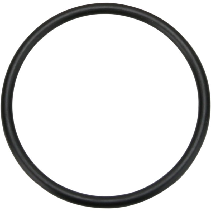 O-RING 5TH GEAR 06-19 XL