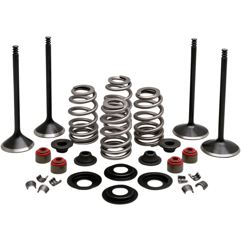 ENGINE KIT 2005-17 HD TWIN CAM 88"-103"