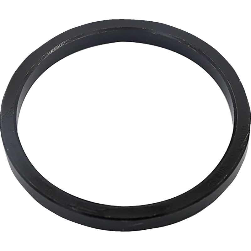 WSHR, EXST GASKET 2.18" X 1.885" X.200" STEEL 1984+ B2 HDS