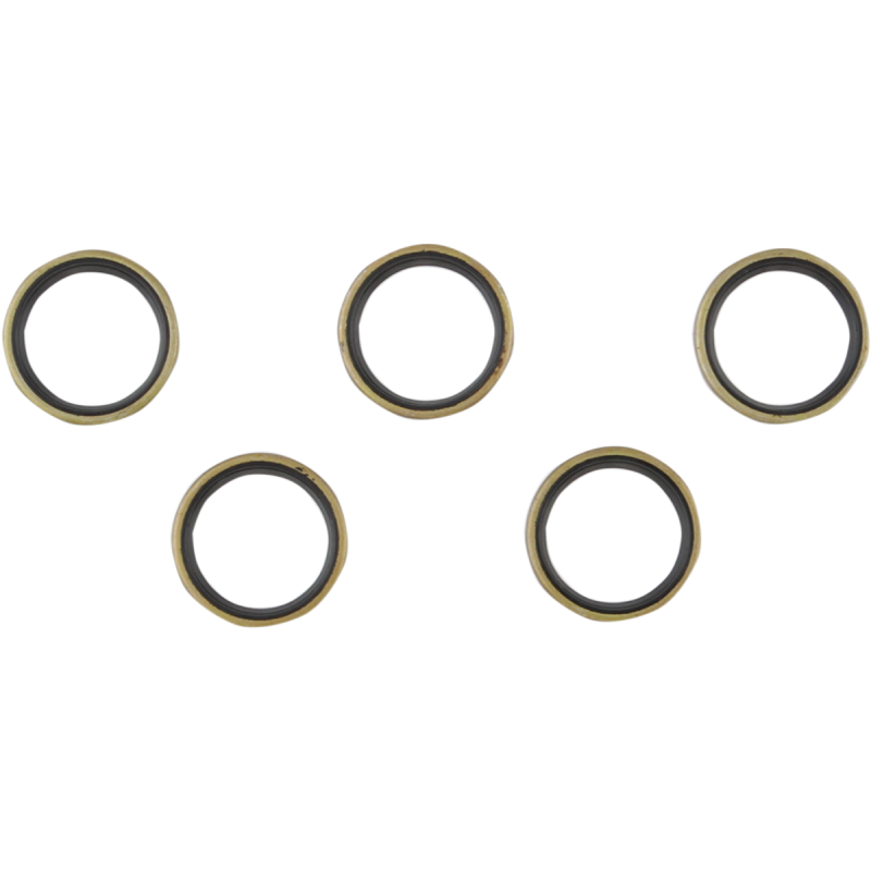 L66-E81 MAIN DRIVE GEAR SEAL (5)