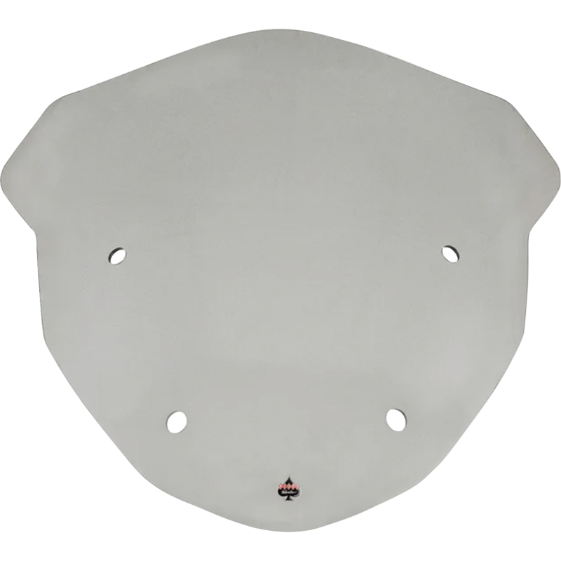 Flare™ Windshield - 21" - Tint - R 1250 RT