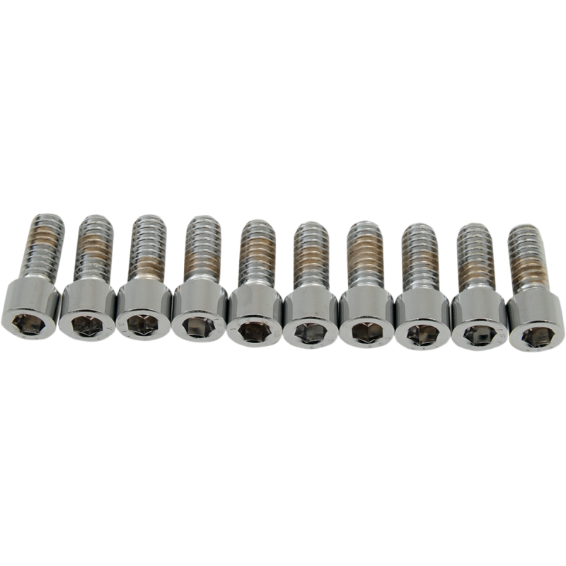1/4-20*5/8 SMTH ALLEN BLTS(10)CY-CHROME