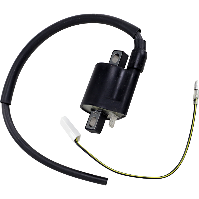 New Suz/Yam Ignition Coil
