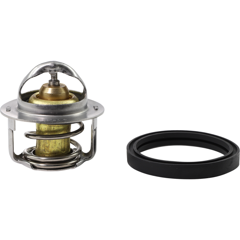 THERMOSTAT POLARIS
