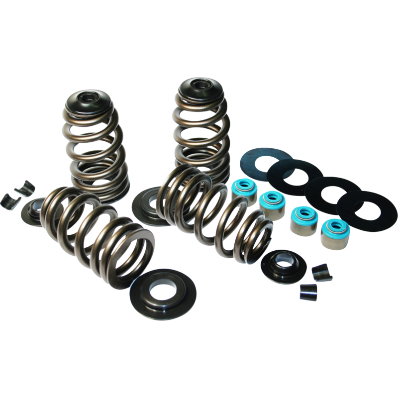 05-17 B/T ECONO BEE HIVE V/SPRING KIT