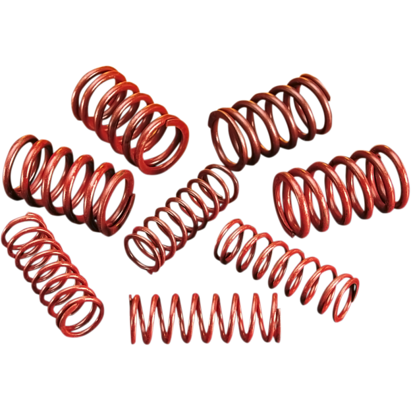 84-04 B/T H/LIFT SPRING KIT SET