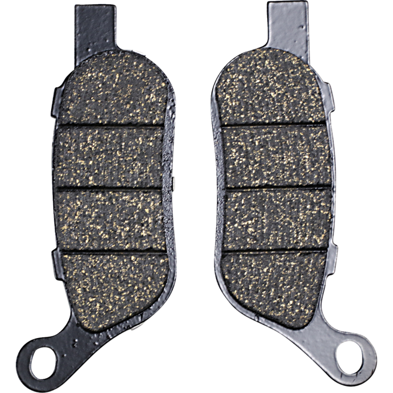 08-17 FX/FLST RR GOLD PLUS BR/PADS