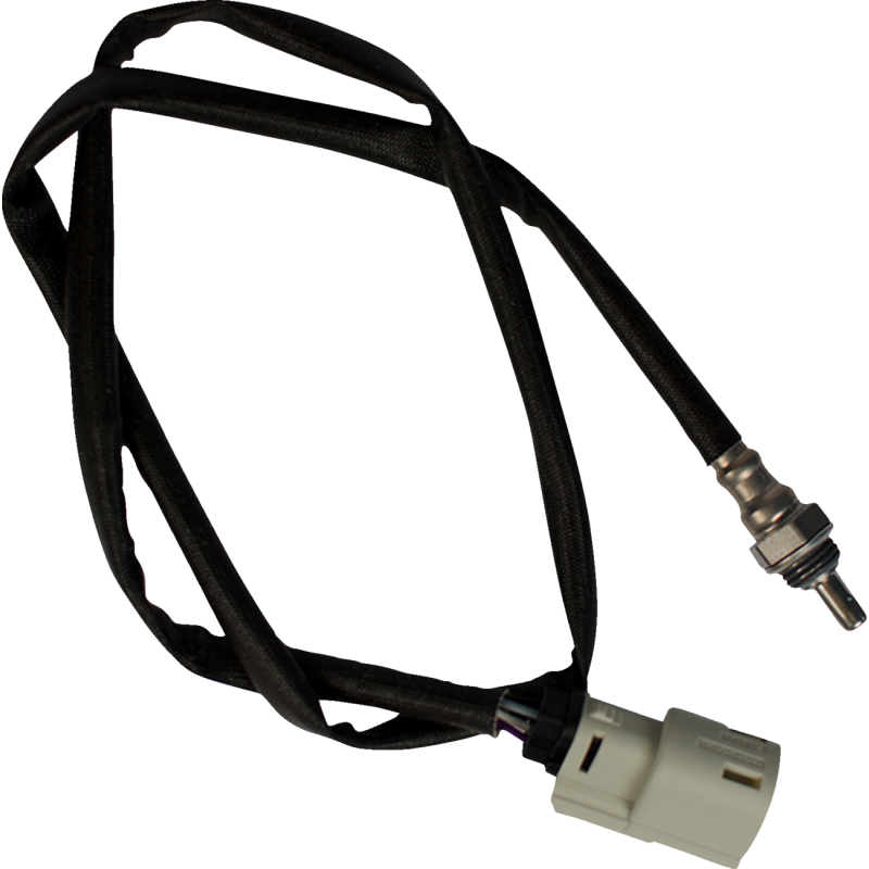 SENSOR O2 12MM M8 17+ GRY