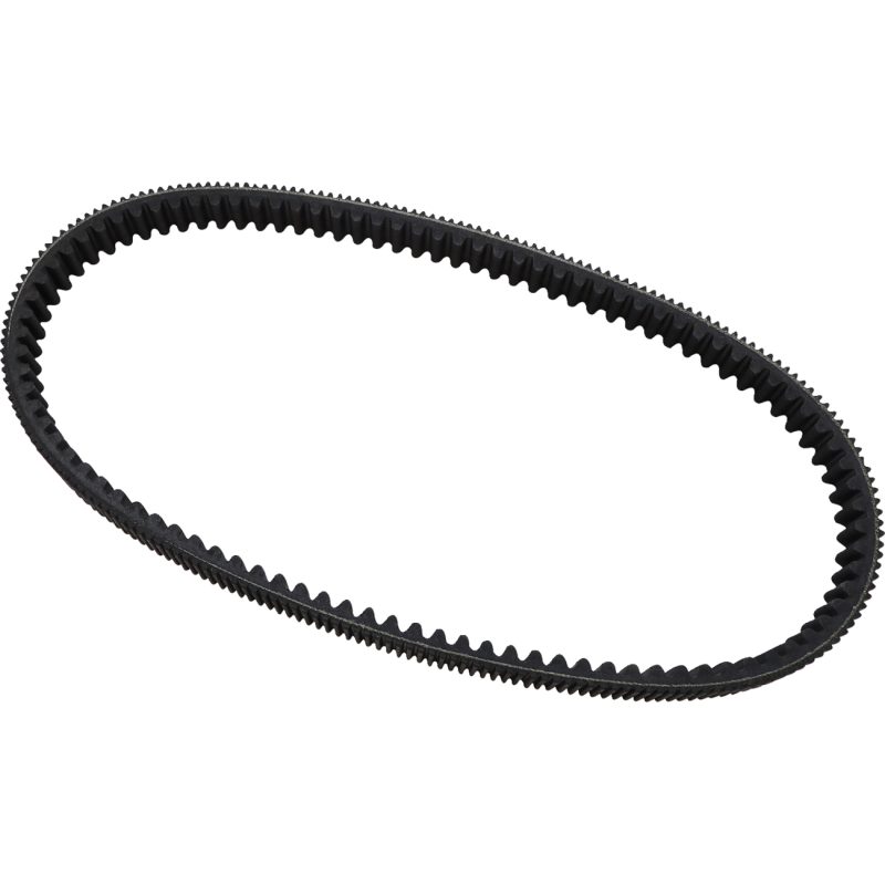 DAYCO BELT HPX5013
