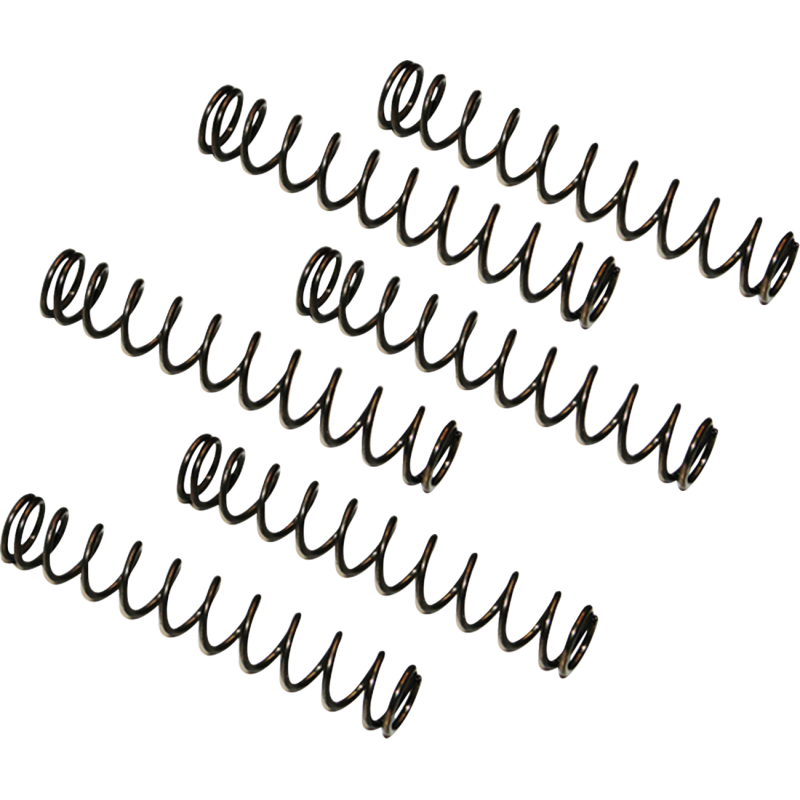 99-17 T/CAM OIL PUMP RELEIF SPRING 6PK