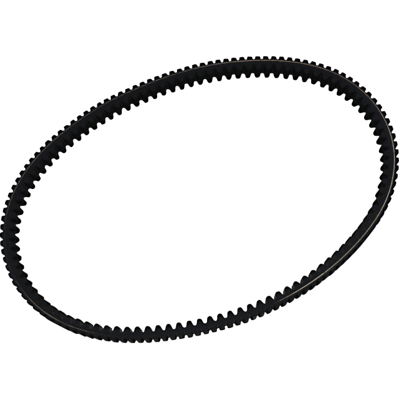 DAYCO BELT RPX5020