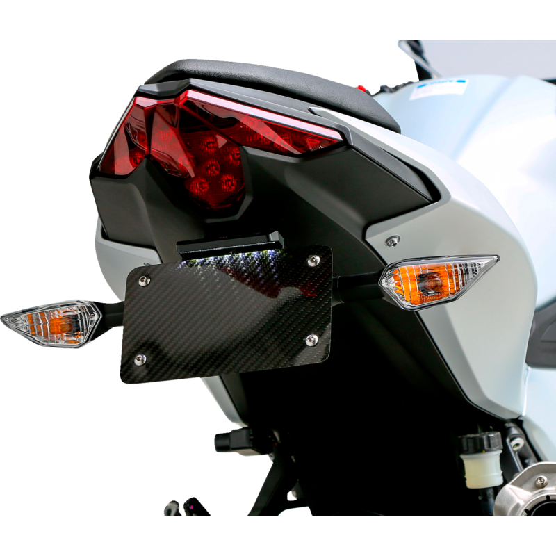 KAWASAKI NINJA/Z500 V2 FENDER ELIMINATOR KIT