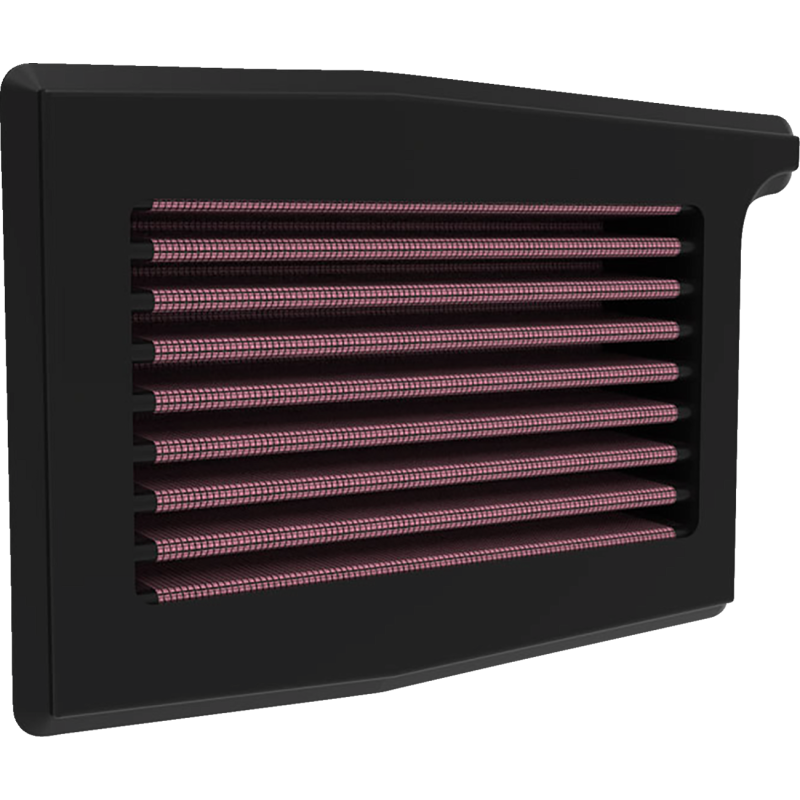 AIR FILTER TRIUMPH TRIDENT/TIGER SPORT 660
