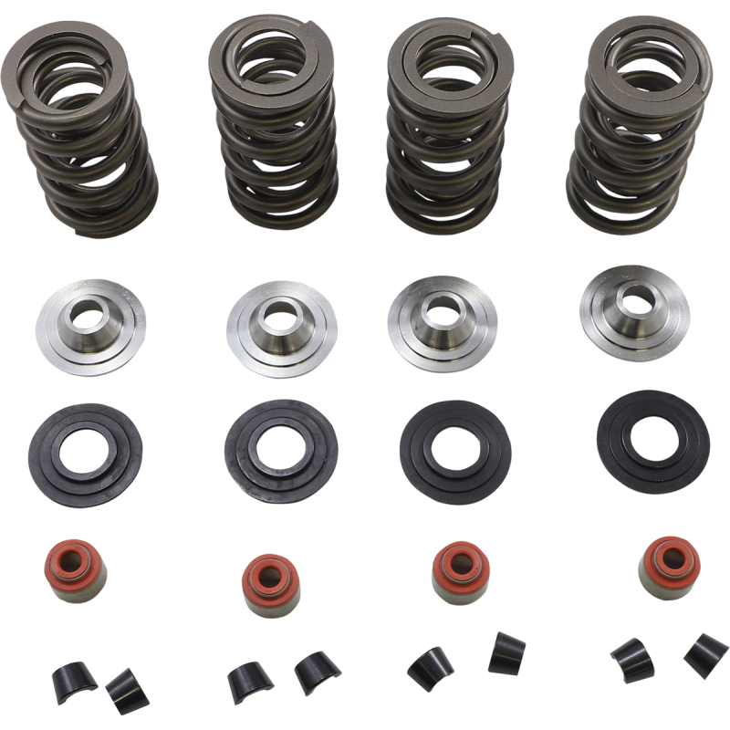 SPRING KIT 05-17 TC/XL