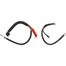 CABLE SET BATRY FLT 14-16