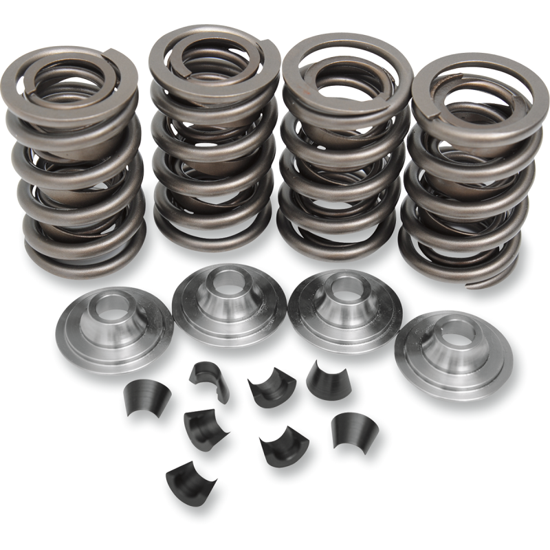 VALVE SPRING KIT 66-E84BT .600LIFT