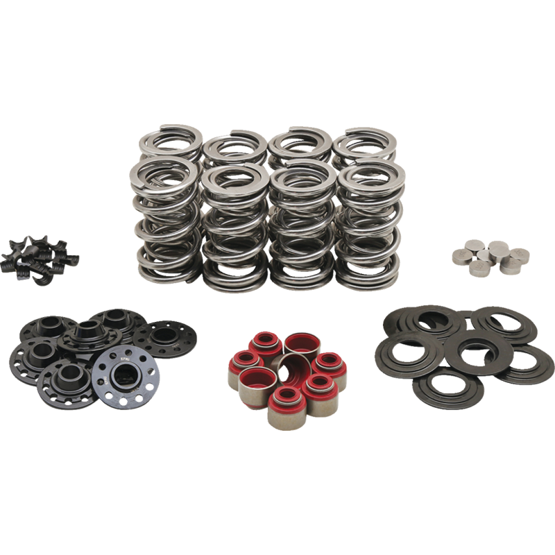 SPRING KT SHIM M8 DUAL ST