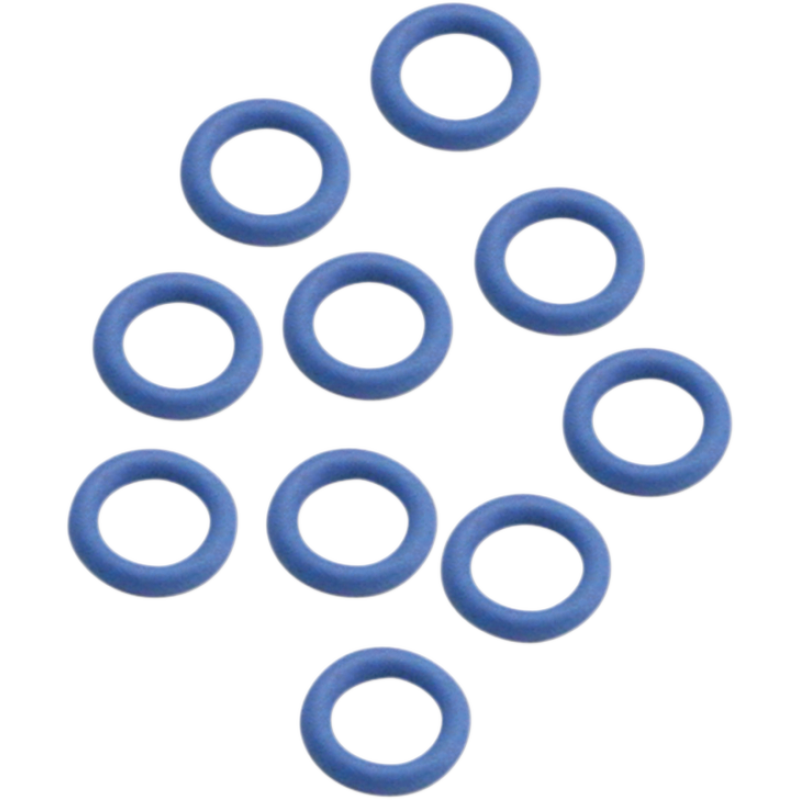 ACELERATOR PUMP CAP O-RING (10)