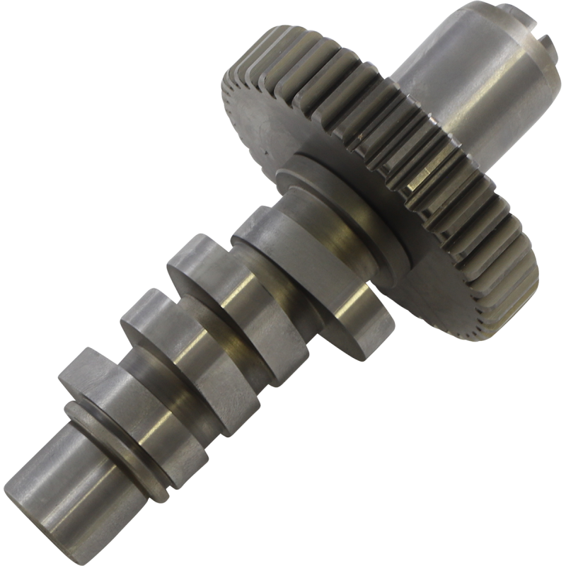 84-99 EVOB/T 561 CAM  S&S
