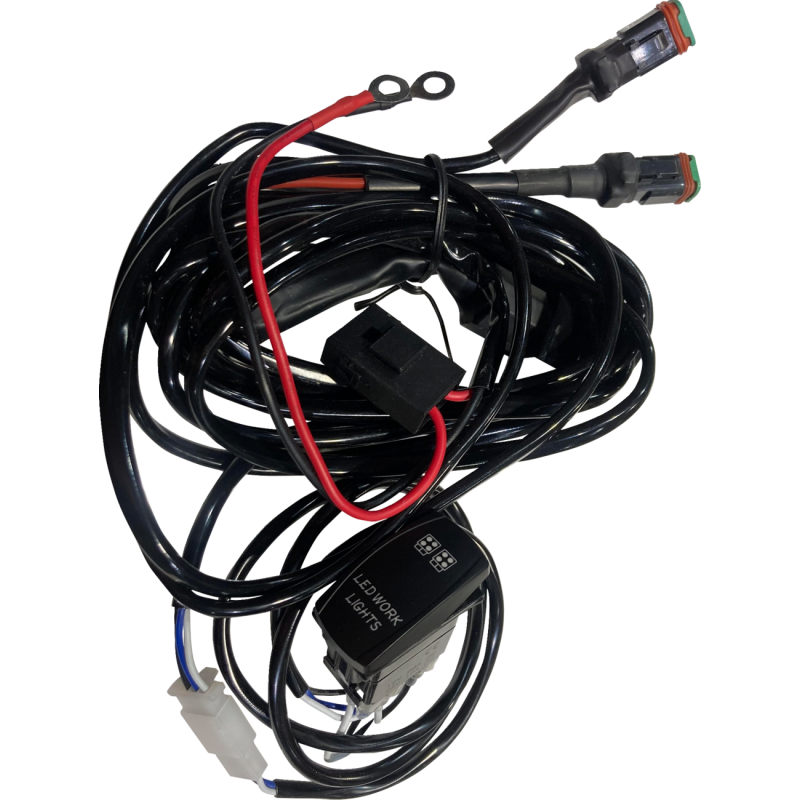 HD Rocker Switch wiring harness w/2 outputs for cu