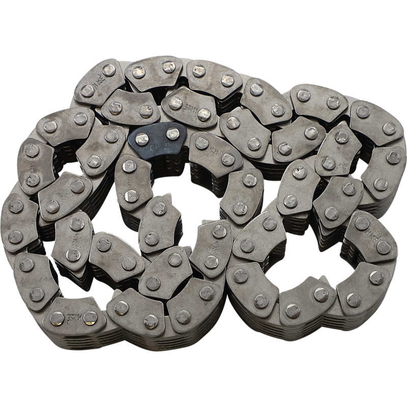 74 LINK 3/4" WIDE BORG SILENT CHAIN