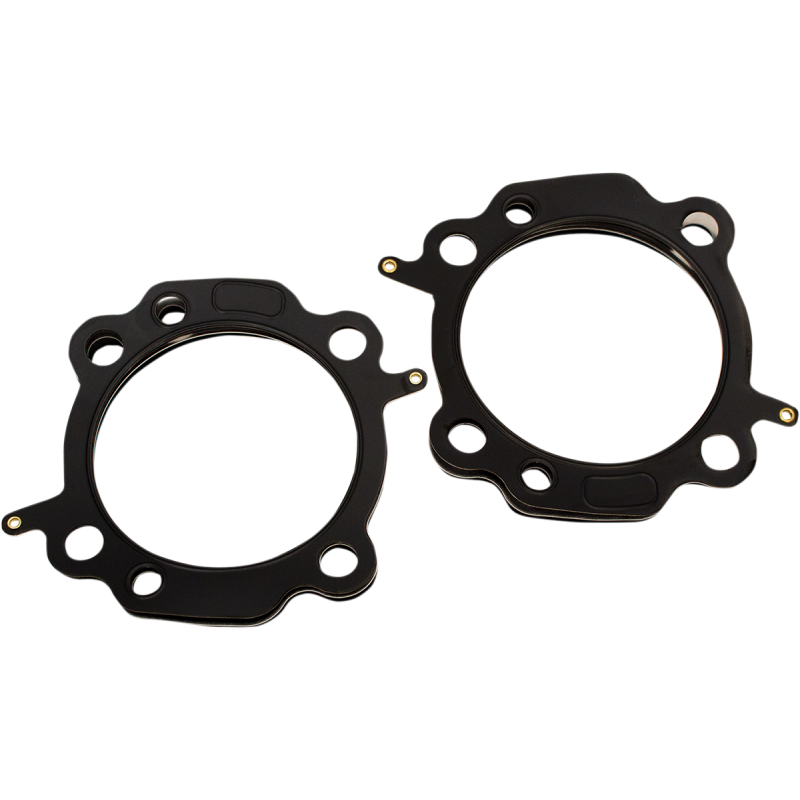 GASKETS HD 3.94" TC
