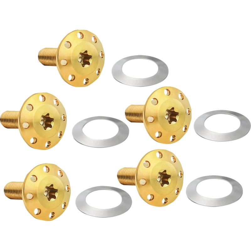 BOLT KIT ROTOR REAR HOLESHOT 5 PACK HUB MOUNT, GOL