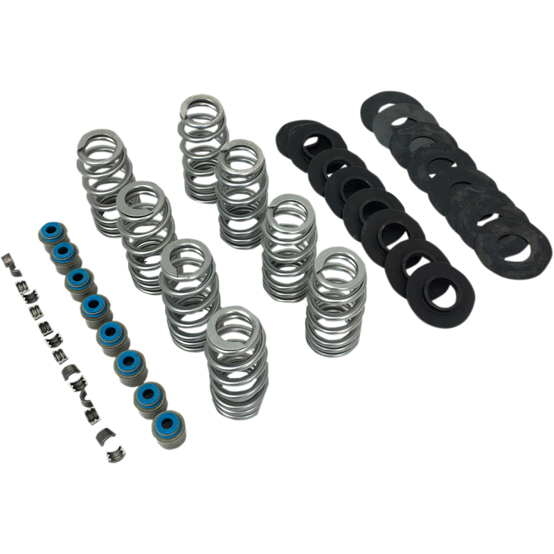 VALVE SPRINGS BHIVE 17-19 M8