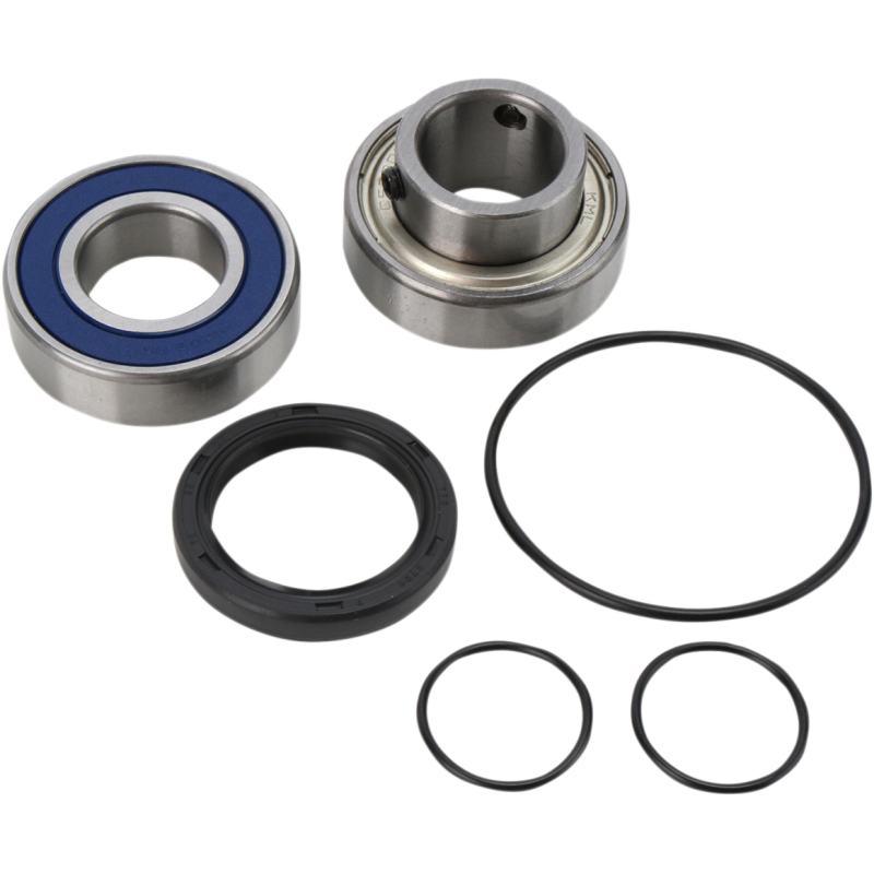 CHAIN CASE BEARING & SEAL KIT