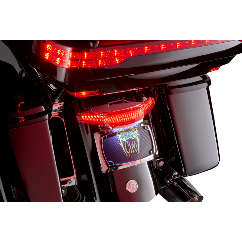 Tailight/License Plate Mount - Smoke Lens - Chrome