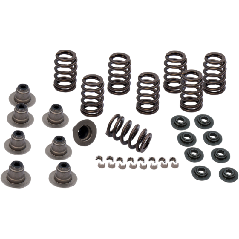 Spring, Kit, Valve, Conical, .605", Steel, 17-19 M8