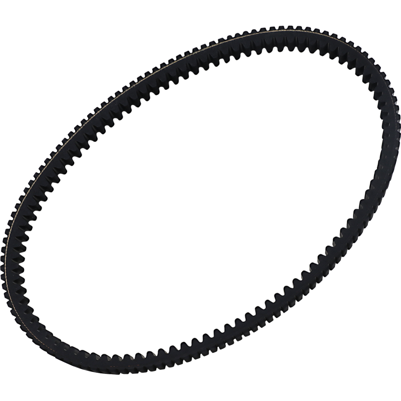 DAYCO BELT RPX5019