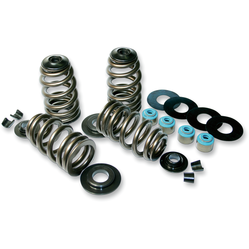 85-04 B/T ECONO BEEHIVE V/SPRING KIT