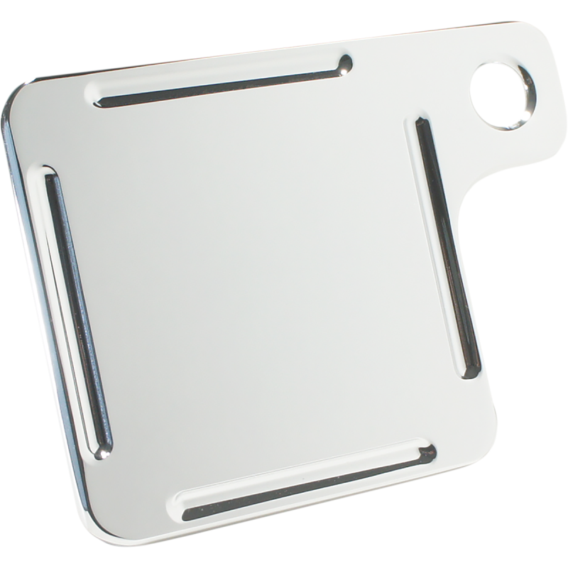 PLATE INSPECTION TAG BM C
