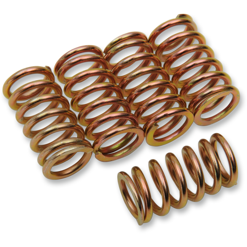 CLUTCH SPRING KIT