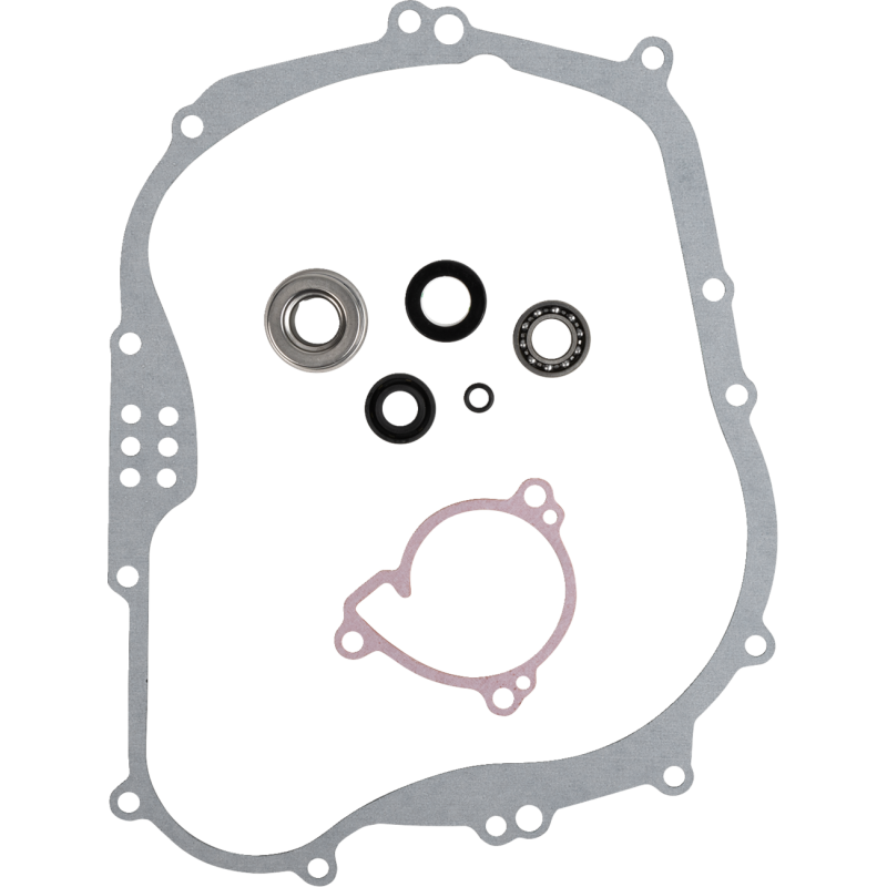 REPAIR KT WTRPMP KLX250S