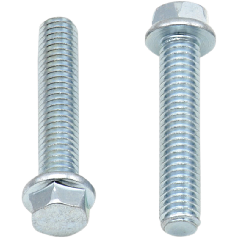 M6-1.0x30 8mm Hex Flange Bolt  (10Pk)