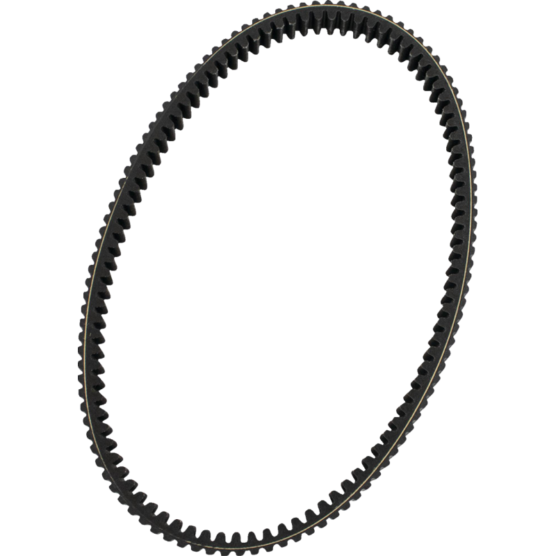 BELT, ALL TRAXION HD
