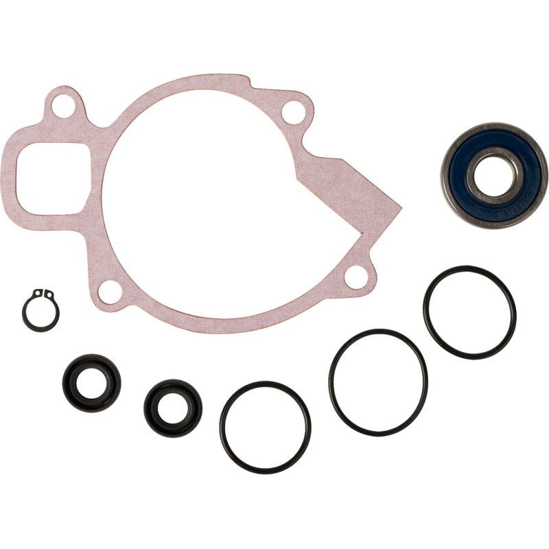 REPAIR KT WTRPUMP 250EXC