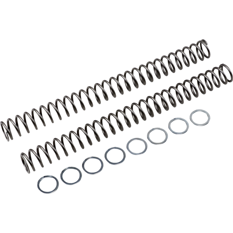 RT FRT SPRING KIT