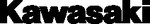 FORK/SWINGARM DECAL - KAWASAKI BLACK