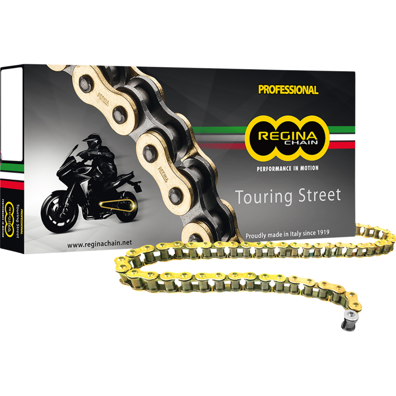 REGINA 530 ZRT CHAIN 110 LINKS