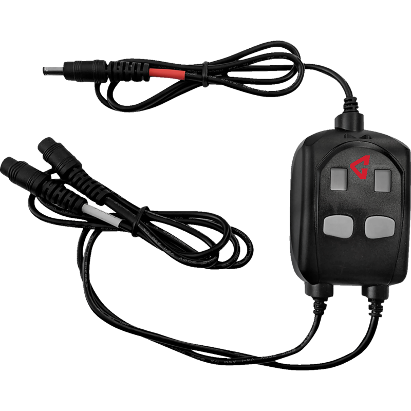 CONTROLLER DUAL WIRELESS-READY 12V