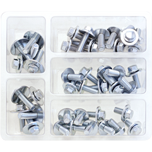 M6 SEMS Bolts Assortment (Kt)